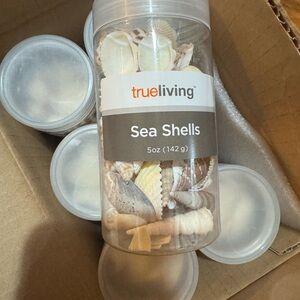 True Living Sea Shells Decorative craft seashells lot of six 5oz Jars Assorted